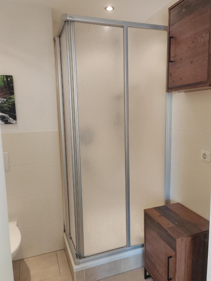 Elbtraum Apartment Pirna